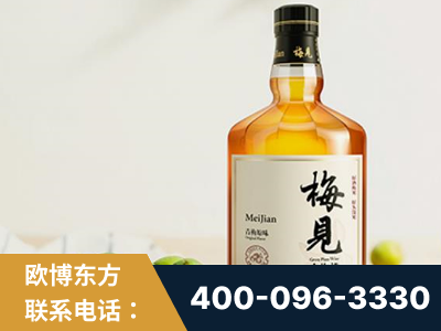 湘潭-梅见青梅酒